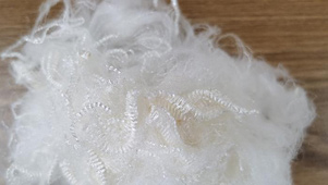 PPS Fiber