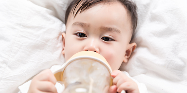 Early Life Nutrition