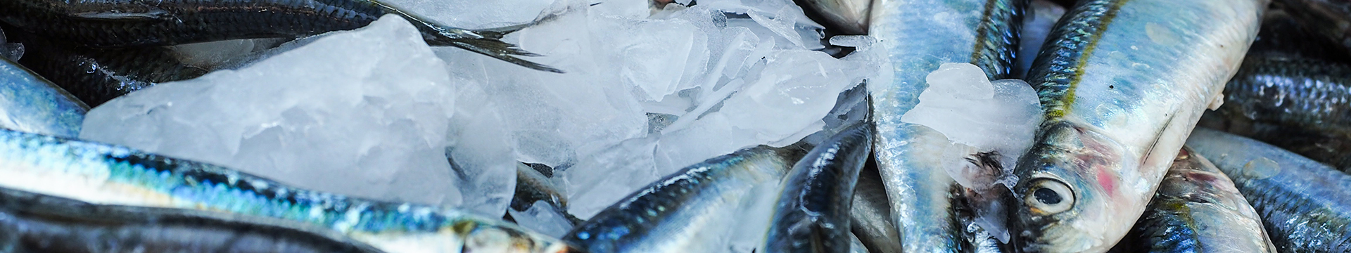 Aquaculture